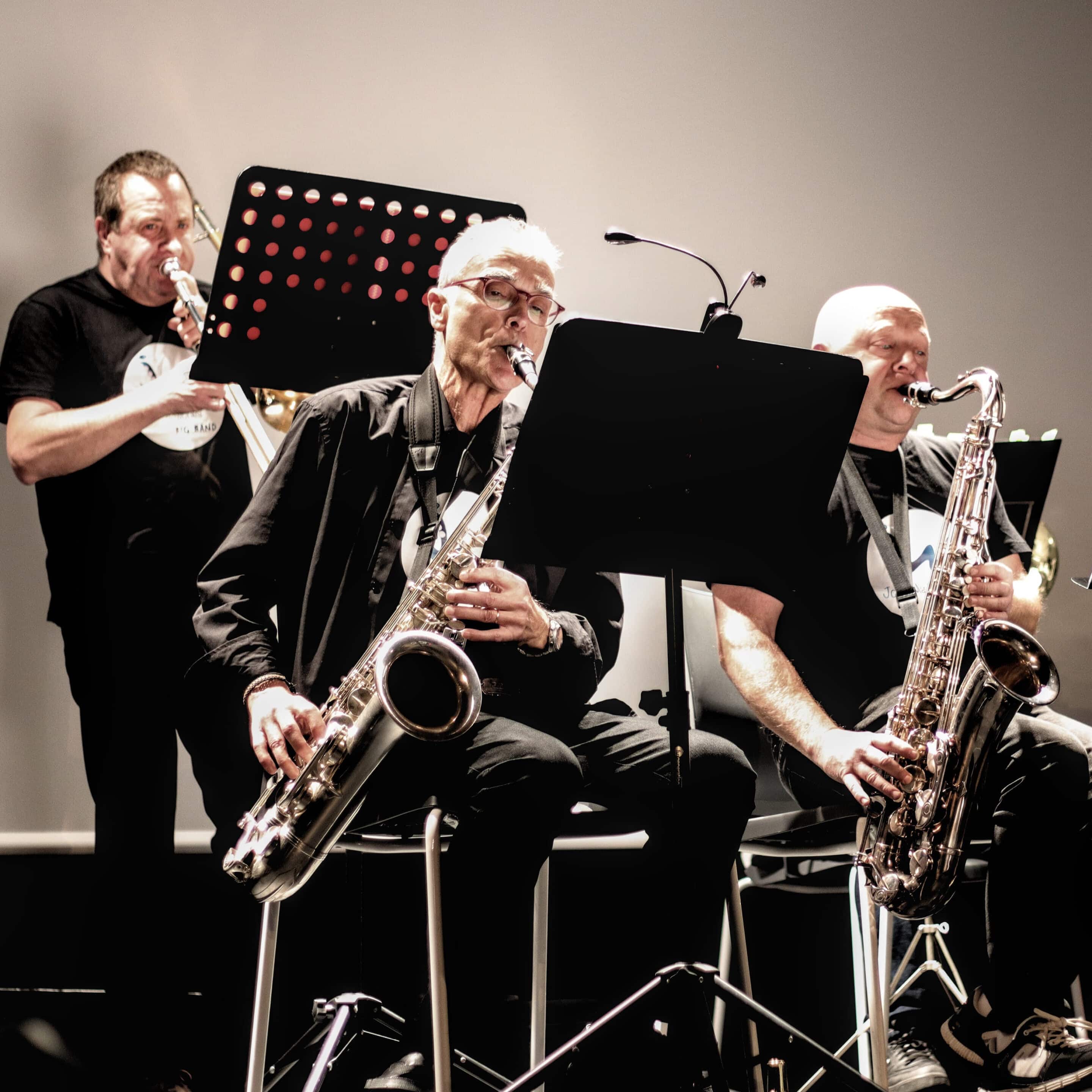 Big Band José Mardones